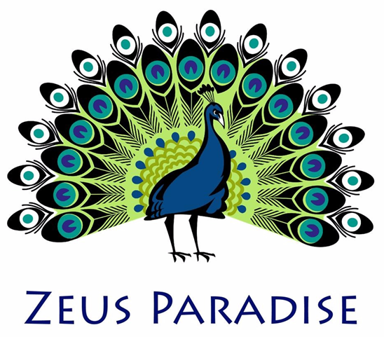 ZeusParadise